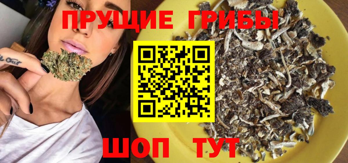 Галлюциногенные грибы GOLDEN TEACHER Сунжа